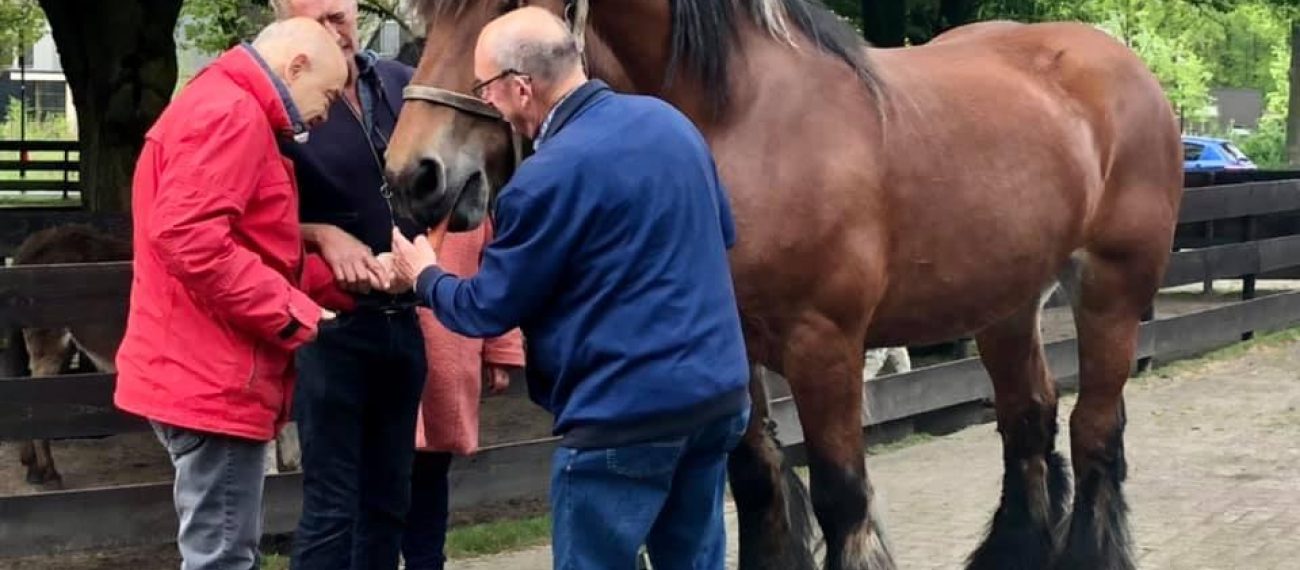 Kloostervelden - Isabel