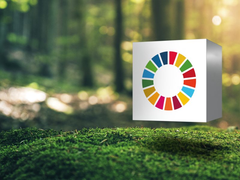 Huybregts Relou Sustainable Development Goals in de praktijk