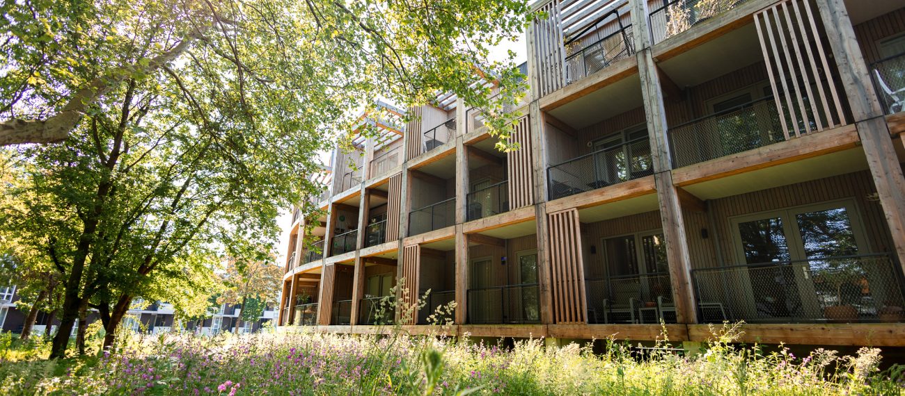 Houtbouw ROOT wonen in groene omgeving zon door de boomblaadjes overzicht van gebouw.