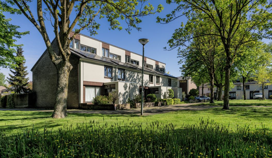 Een rij met huizen met een grasveld ervoor