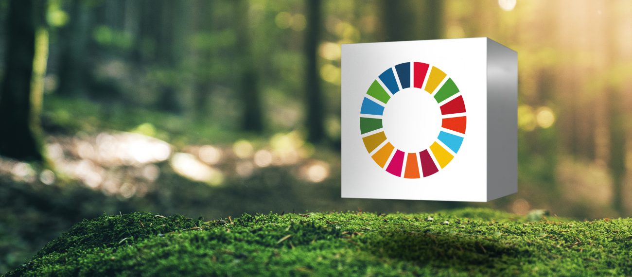 VBG SDG visual