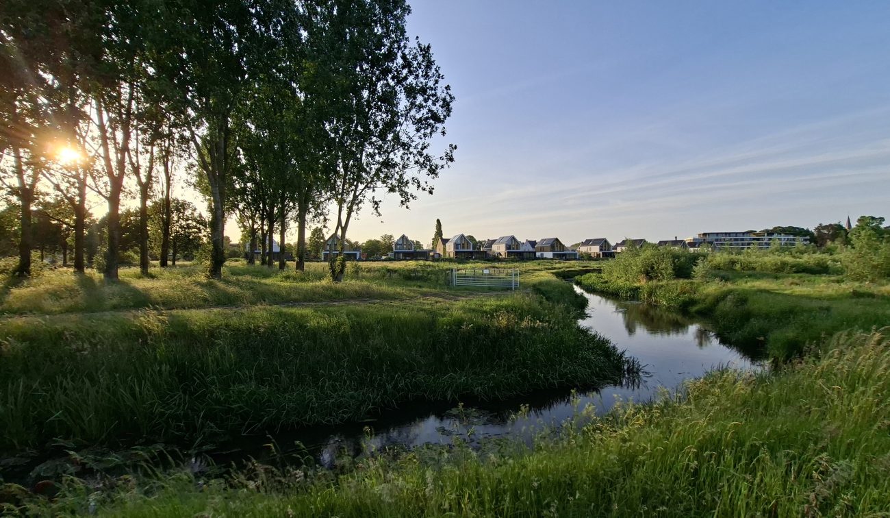 Groen landschap met watergang, bomenrij en nieuwbouwwoningen op de achtergrond