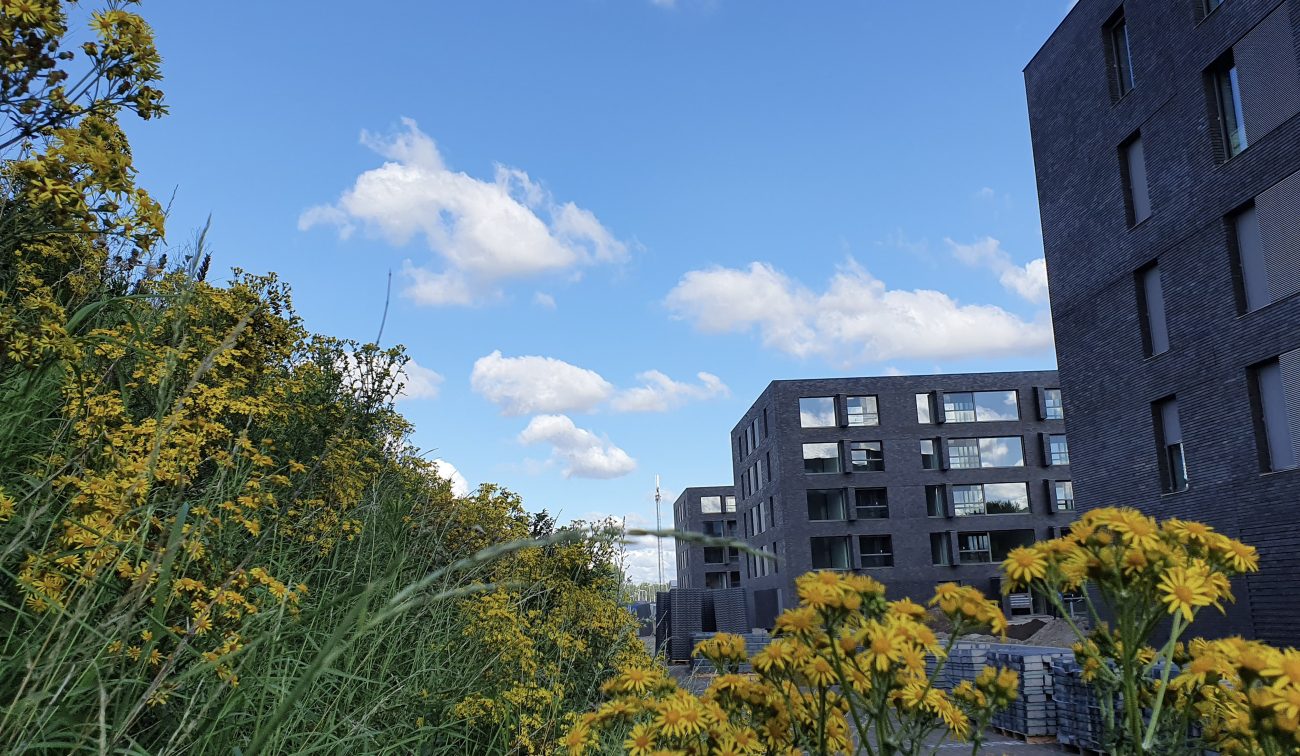Nieuwbouw van 81 appartementen in de Dongewijk in Tilburg met kleurrijke beplanting en groen rondom het gebouw.