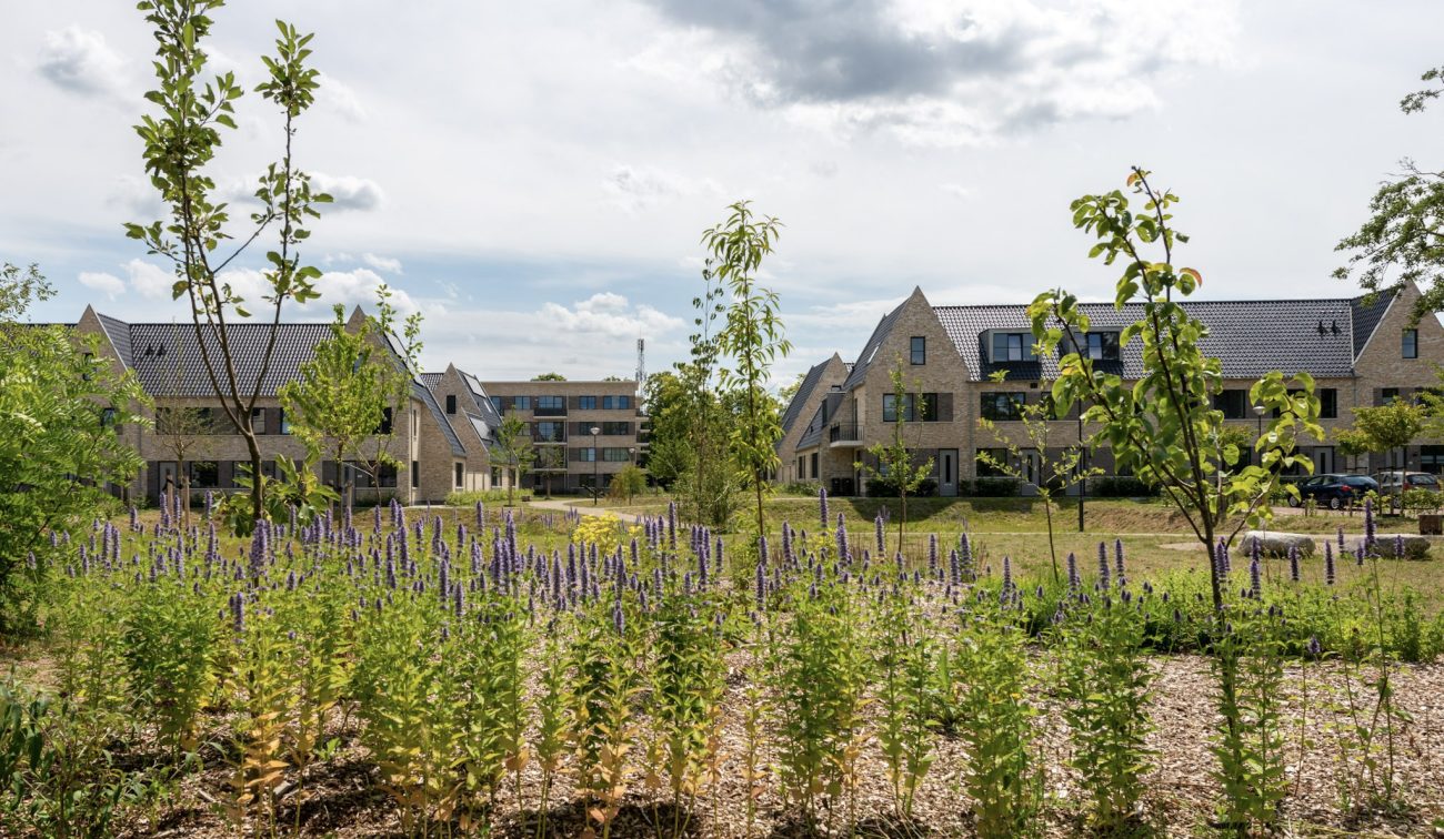 Groen veld met het nieuwbouwcomplex van de Grote Zeeheldenbuurt in Vught op de achtergrond, onderdeel van de nieuwe woonomgeving.