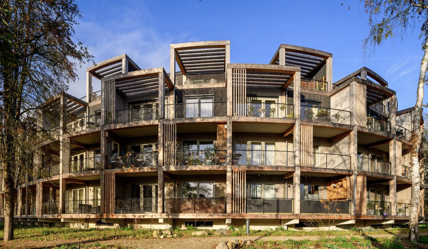 Nieuwbouw ROOT Eindhoven – duurzame ronde appartementen met houten gevels, diepe terrassen en moderne architectuur.
