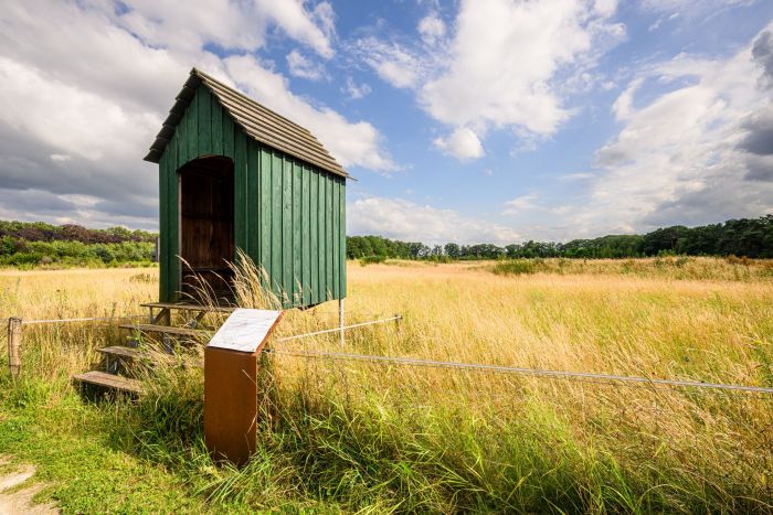 Groen houten huisje in de natuurlijke omgeving van Kloostervelden in Sterksel, onderdeel van het landschap rondom de nieuwbouwwijk.