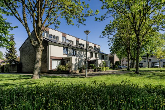 Een rij met huizen met een grasveld ervoor