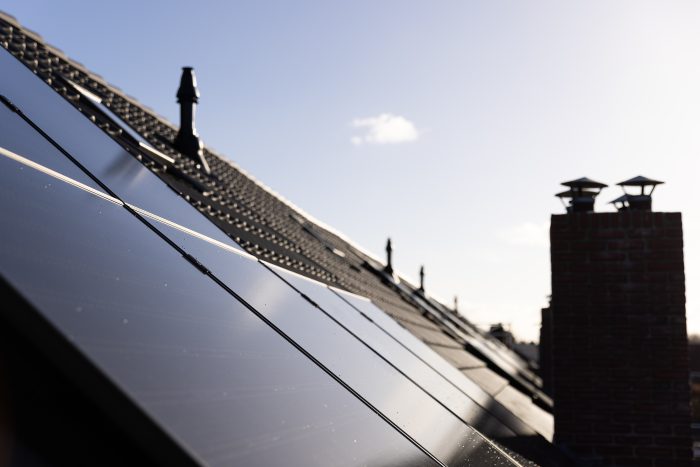 HR Groot onderhoud Tuinzigt Haagpoort 02